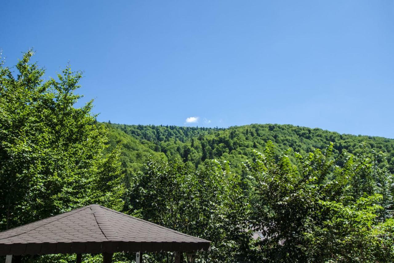 Apartmán Chez Marcel Sinaia Pokoj fotografie